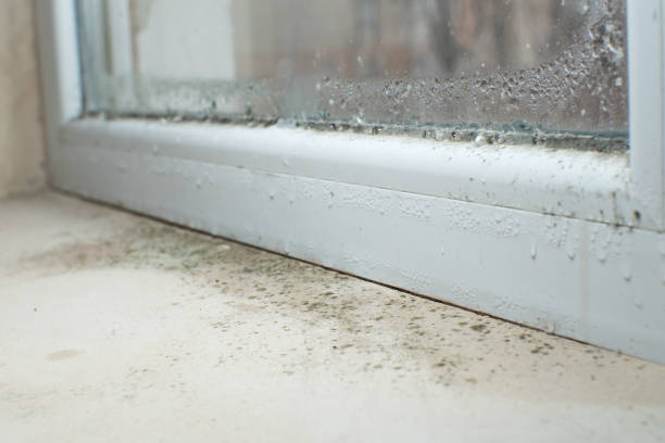  Hilmar Irwin, CA Mold Removal Pros